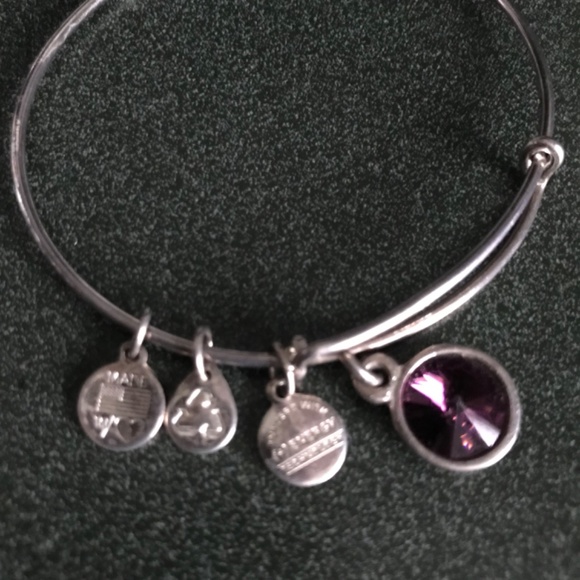 Alex and Ani Expandable Wire Bracelet - Picture 5 of 11
